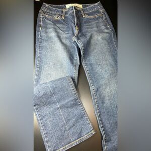 Ann Taylor LOFT Blue Original Boot Jeans Size 8 EUC